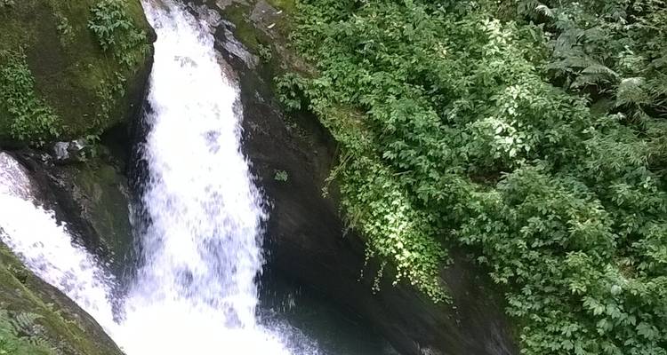Wasserfall, der einen felsigen Abhang hinunterfließt, umgeben von üppigem Grün.