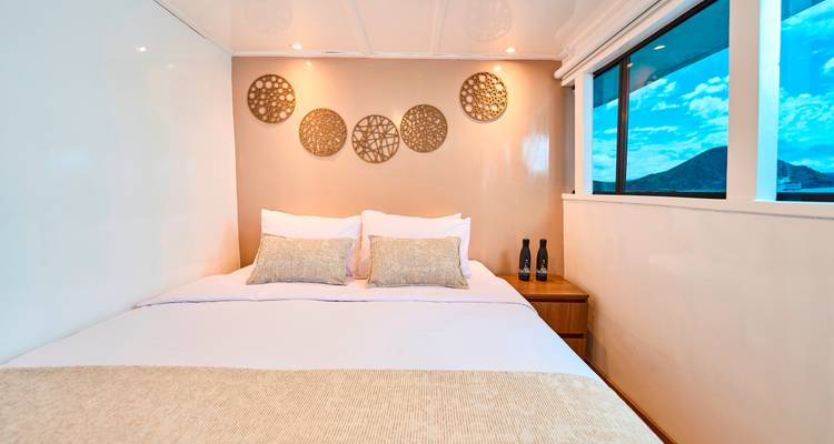 Cabine avec une grande fenêtre offrant une vue sur la mer et une décoration naturelle.