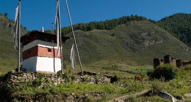 Petit chorten sur la colline avec des chevaux en pâturage sur fond de montagnes boisées et de ciel bleu.
