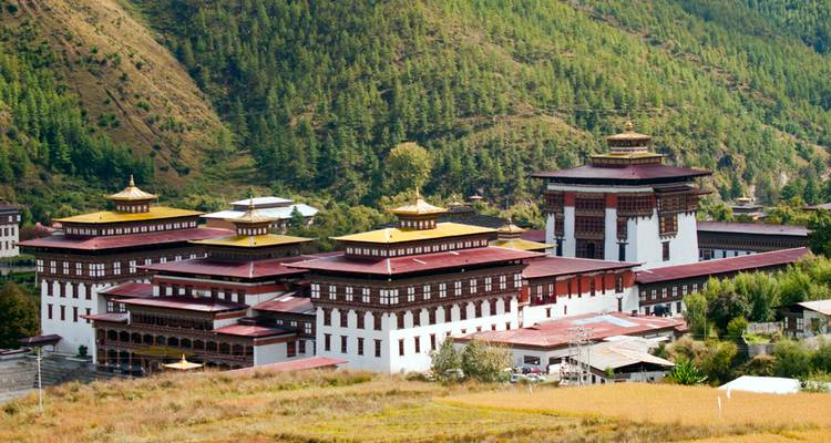 Vue panoramique du complexe du Trashichho Dzong de Thimphou, entouré de champs en terrasses et de collines boisées.