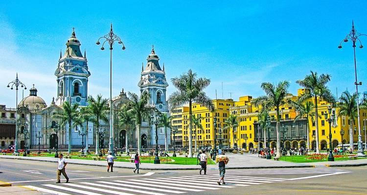 Plein met een kathedraal en palmbomen in een zonnige stad.
