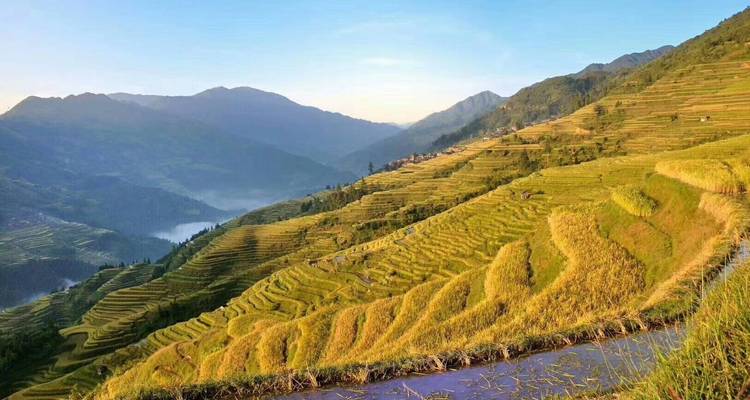Terrasvelden op een heuvelflank met bergen op de achtergrond