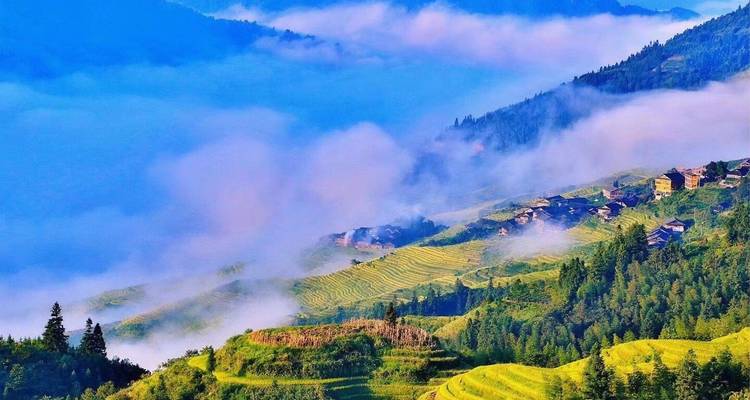 Kleurrijke terrasvelden en dorp omgeven door mist
