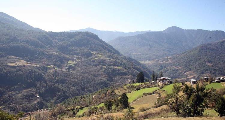 Ein terrassiertes Tal mit Hügeln im Hintergrund.
