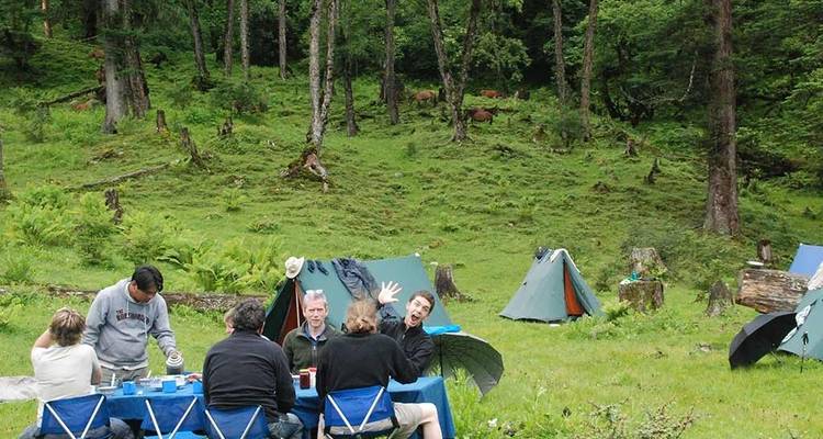 Menschen, die in einem Waldgebiet zelten und picknicken.