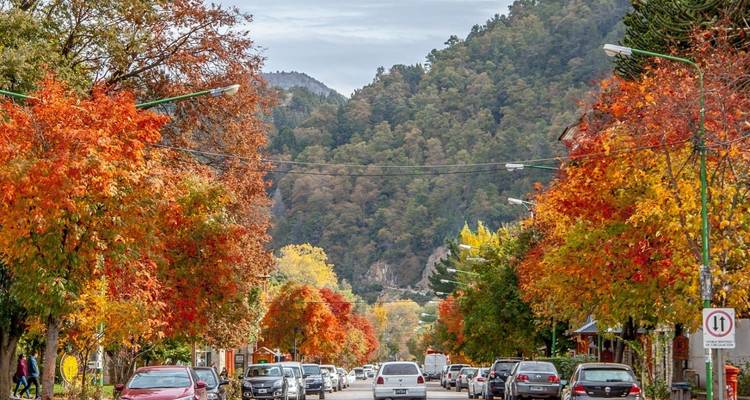 Een straat met kleurrijke herfstbomen aan beide kanten.