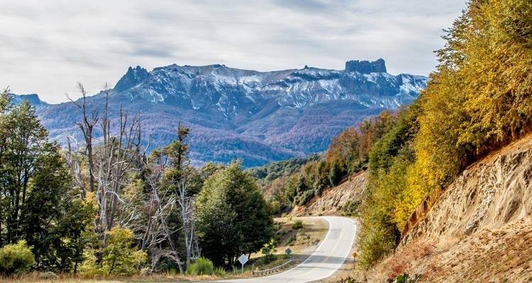 Een slingerende weg leidt door kleurrijke herfstbomen en bergen.