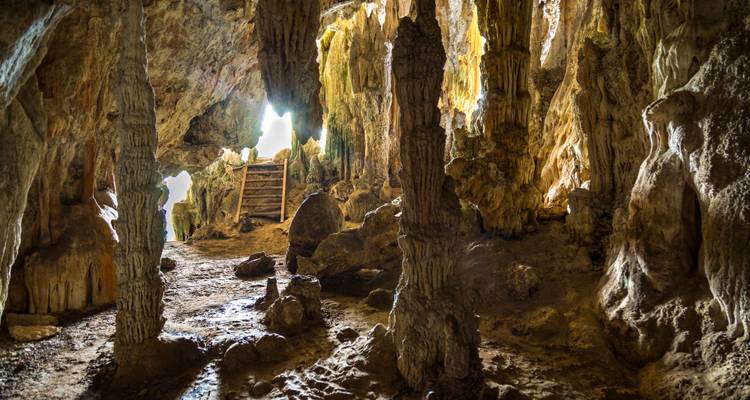 Sunlit limestone cave interior with stalactites, columns and earthen floor leading to a bright exit.