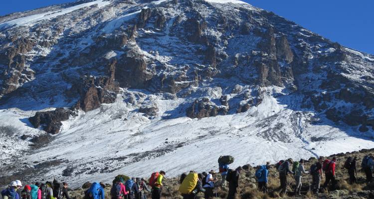 Wandergruppe beim Aufstieg zum Kilimandscharo