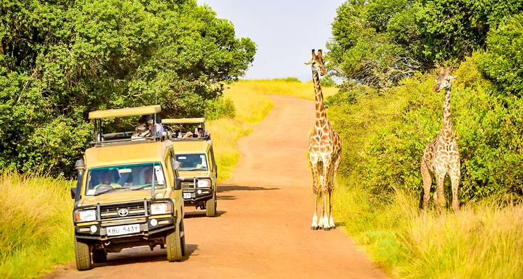 Safari voertuigen en giraffen op een zandweg.