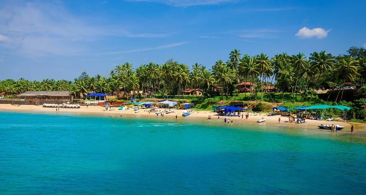 A vibrant beach with clear blue water and tall palm trees.