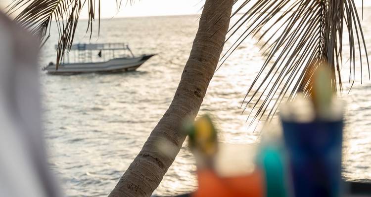Blurred tropical drinks with a palm tree and boat on water.