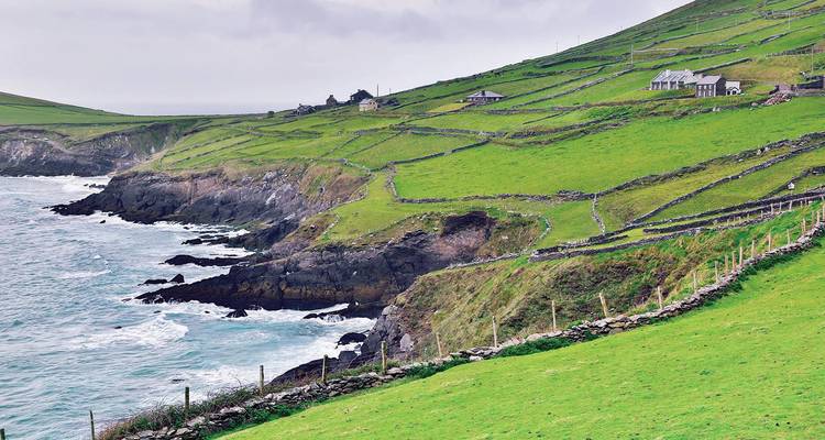Dingle-Halbinsel mit sanften grünen Hügeln und Küstenklippen.