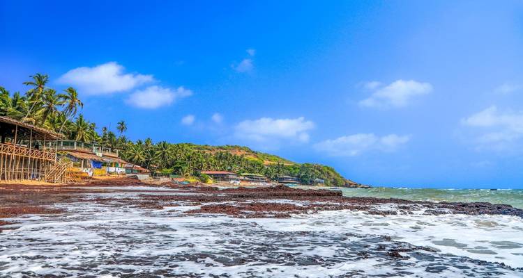 Malerische Strandpromenade mit Palmen und felsiger Küstenlinie.