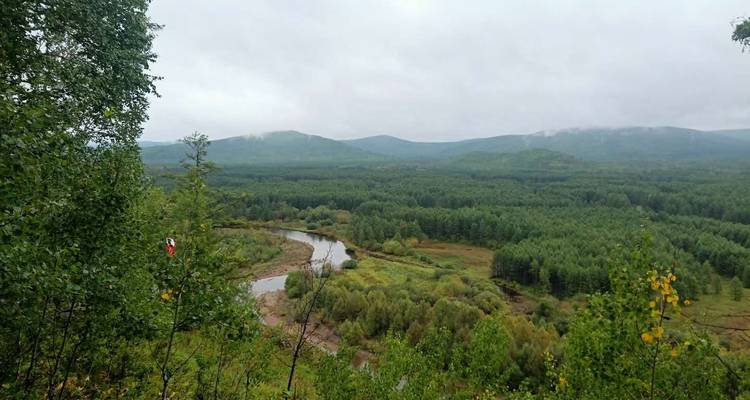 Üppige grüne Landschaft mit einem Fluss in Hailar, China.