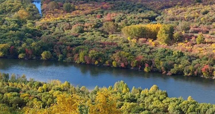 Nahaufnahme von einem Fluss, umgeben von bunten Herbstbäumen.