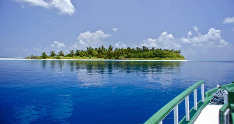 Pequeña isla cubierta de palmeras rodeada de agua turquesa cristalina vista desde un bote.