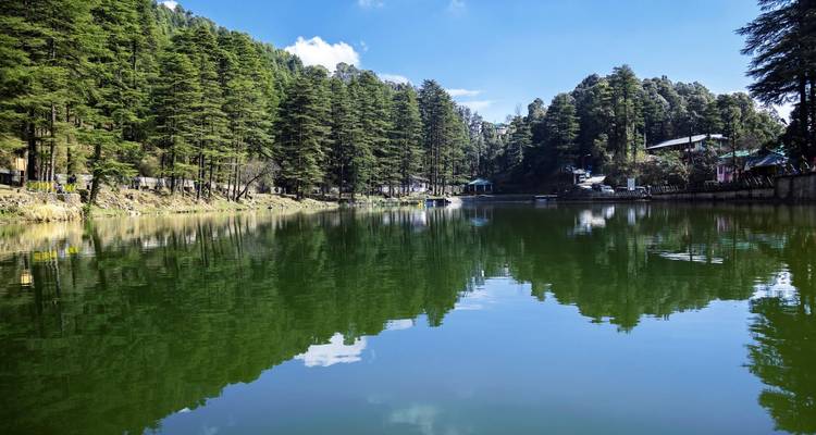 Ruhiger See, der die umgebenden Kiefern spiegelt.