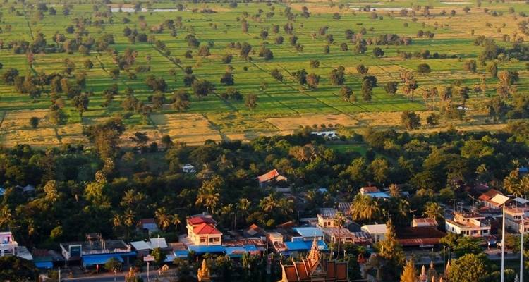 Scenic aerial of patchwork rice fields with scattered trees and a small Cambodian village at the edge of lush countryside.