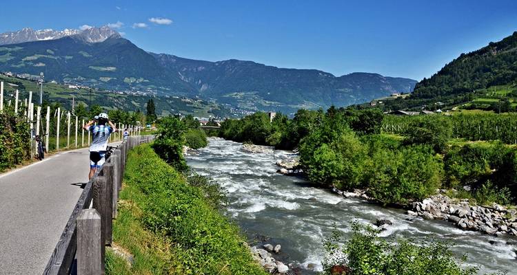 Cyclist pauses beside a rushing alpine river bordered by vineyards and snow-capped peaks.