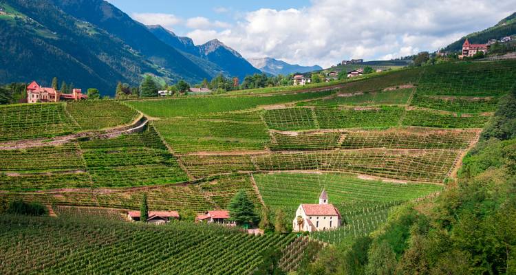 Patchwork of lush vineyard terraces climbs rolling hills with a tiny chapel in South Tyrol’s wine country.