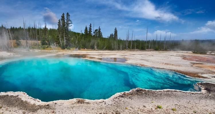 Bunte heiße Quelle umgeben von Wald in Yellowstone.