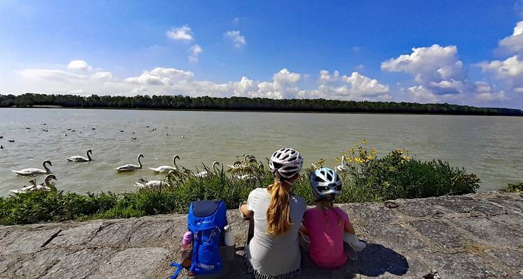 Woman and child sitting by a riverside, watching swans.