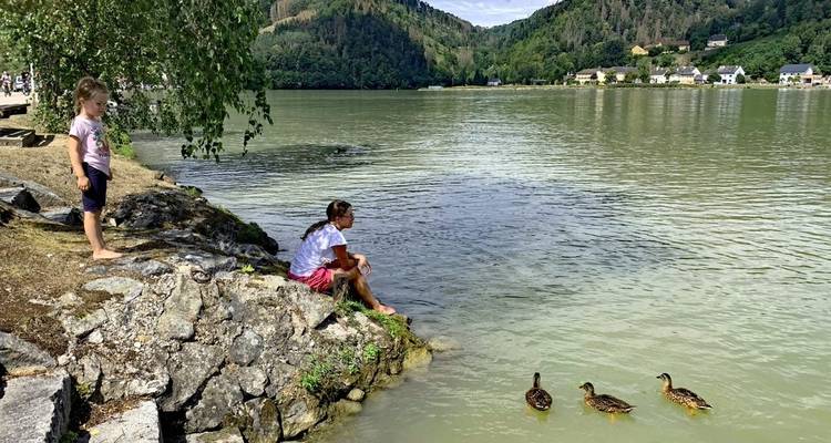 Person und Kind beobachten drei Enten am Fluss.