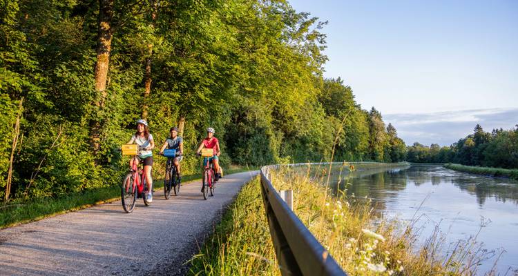 Groupe de cyclistes sur un sentier ombragé longeant un canal tranquille au coucher du soleil, la lumière dorée illuminant de grands arbres riverains.