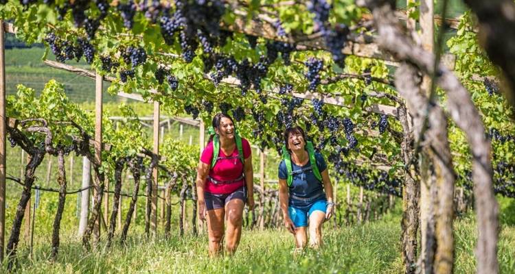 Zwei Frauen genießen einen Spaziergang durch einen Weinberg mit Weinreben über ihnen.