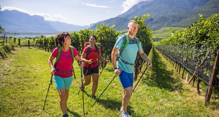 Menschen wandern durch Weinberge mit Bergen und einem See im Hintergrund.