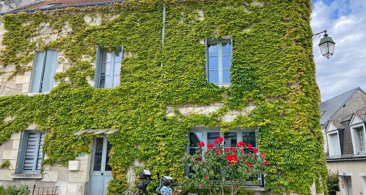 Le lierre recouvre complètement une maison en pierre pittoresque avec des roses rouges éclatantes dans le jardin de façade.