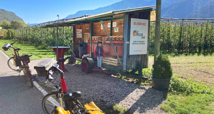 Klein wegzijde zelfbedieningsfruitkraampje met een klein klantje en bergachtergrond.