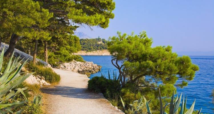 Sentier de promenade le long du littoral avec des arbres.