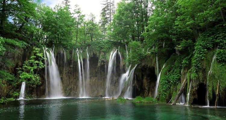 Cascades se déversant dans un bassin luxuriant de la jungle.