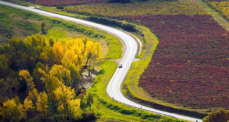 Route sinueuse à travers un paysage d'automne coloré.
