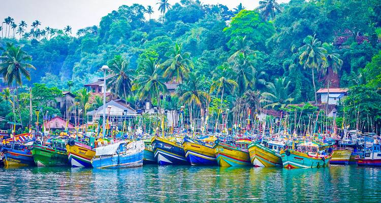 Bunte Boote, die Seite an Seite in einem üppigen, tropischen Hafen anlegen.