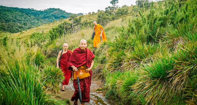 Mönche, die durch eine grüne Landschaft wandeln, wobei einer einen Stock trägt.