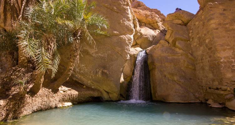 Kleiner Wasserfall stürzt in einen klaren Teich, umgeben von Palmen und schroffen Canyonwänden in einer Oase.