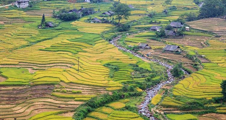Terrassenförmige Reisfelder in Sapa mit kleinen Häusern und einem Fluss.