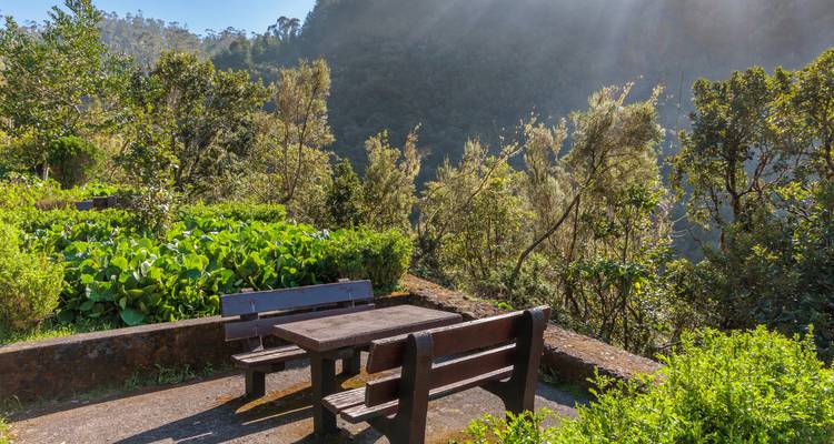 Banc de pique-nique tranquille entouré de verdure luxuriante dans une vallée madérienne parsemée de lumière solaire