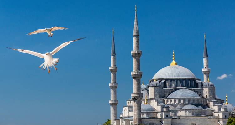 Blue Mosque with soaring minarets framed by seagulls against a deep blue sky