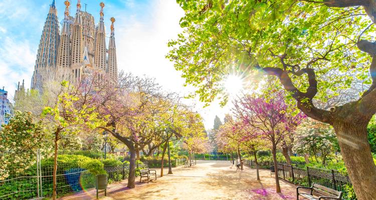 Sunlit park path lined with blooming trees frames the distant spires of Sagrada Familia.