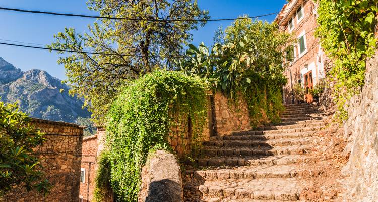 Escalera de piedra bordeada de enredaderas exuberantes y plantas mediterráneas que sube entre casas de pueblo rústicas.