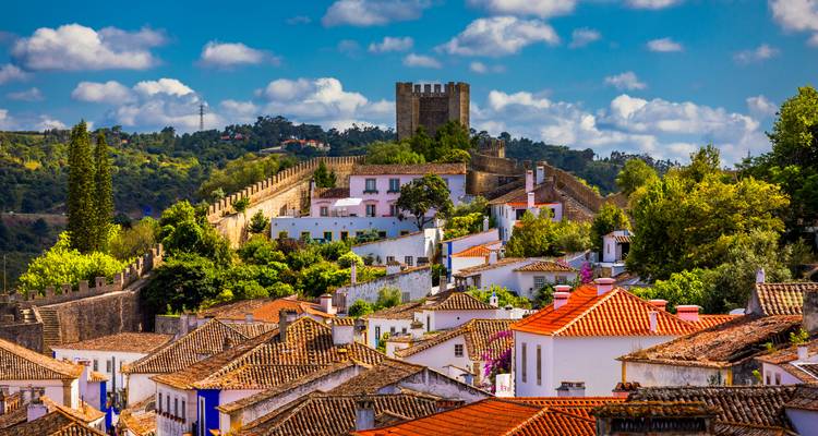 Petite ville médiévale perchée sur une colline avec des remparts de château et des toits en tuiles rouges sous un ciel bleu éclatant.