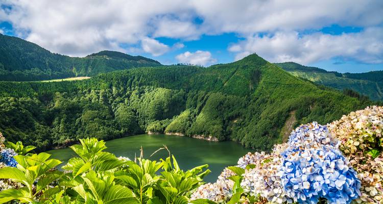 Lac de cratère volcanique luxuriant et verdoyant encadré par des hortensias bleus en fleur sous des nuages épars.