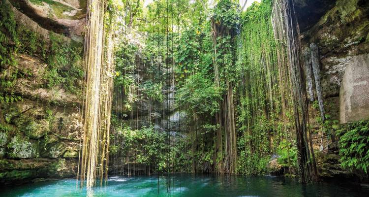 Tropische Cenote mit hängenden Lianen und türkisfarbenem Wasser.