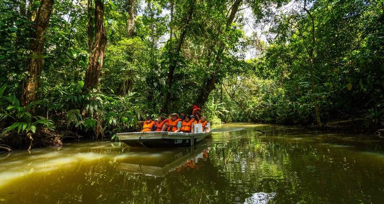 Bootstour mit Personen, die Schwimmwesten tragen, in einem dichten Dschungelkanal.