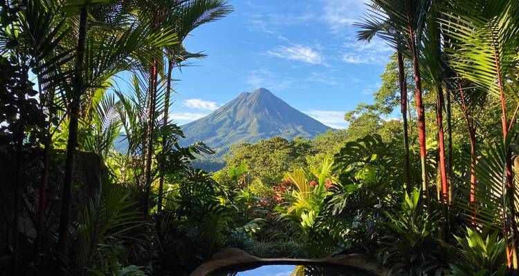Volcan au loin avec une végétation tropicale encadrant la scène.
