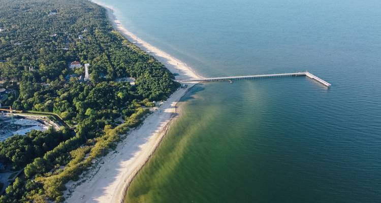Luftaufnahme eines langen Sandstrandes, bewaldeter Küstenlinie und einer Pier, die in die ruhige Ostsee hineinragt.